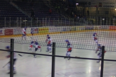 Jugend - Eishockey Straubing Tigers